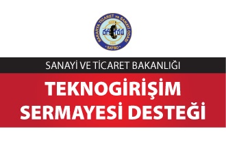 2011 TeknoGirişim Sermayesi