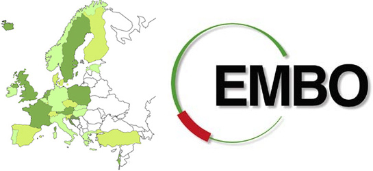 Türkiye'den 3 Araştırmacı EMBO Yerleşim Desteği Kazandı