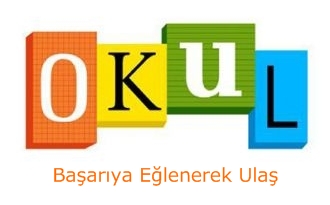 Türkiye'nin İlk Online Liderlik Programı Okul.Com.Tr Yayında!