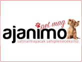 Hayvanların Diliyle İçerik Üreten Platform Girişimi: Ajanimo!