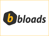 Bloglar ve İçerik Siteleri İçin Reklam Platformu Girişimi: Bloads!
