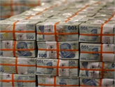 Türkiye Varlık Fonu'nun Çalışma Esasları Belirlendi