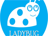 Microsoft Imagine Cup Türkiye Finalisti LadyBug, Seattle Yolcusu!