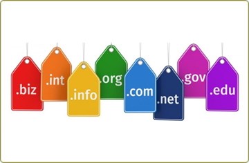 Domain ve Hosting Seçiminin İşletmeler ve Girişimciler İçin Önemi