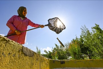 Vanlı Kadın Girişimci Aldığı Destekler İle Üretimini Katladı