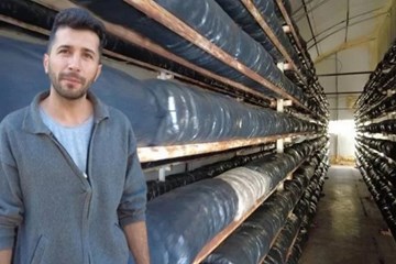 Genç Girişimci Tek Başına Yılda 20 Ton İstiridye Mantarı Üretiyor