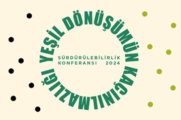 Türkiye'nin 165 Milyar Dolarlık İklim Yatırımına İhtiyacı Var mı?