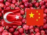 Türk Kirazı İlk Kez Çinlilerle Buluşacak!
