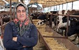 İşe 4 Bilezikle Başladı, Milyonluk Servetin Sahibi Oldu!