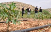 Organik Tarım Bir Köyümüzün Kaderini Nasıl Değiştirdi?