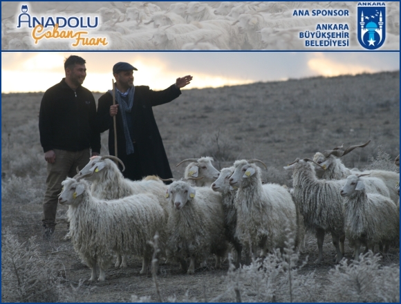 Türkiye’de bir ilk: Anadolu Yetiştiriciler, Canlı Hayvan ve Çobanlar Fuarı!